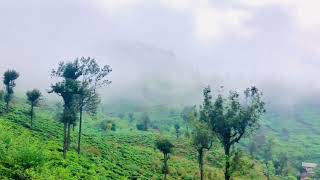 Idalgashinna Mountain in an evening⛰️🗻🇱🇰 traveller viralvideo beautifulnature mountains [upl. by Auhsot]