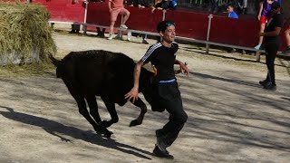 BARBENTANE JOURNÉE TAURINE 250323 [upl. by Moran808]