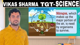 class 8  9 11th Nitrogen fixation Nitrogen cycle explanation [upl. by Aksel]