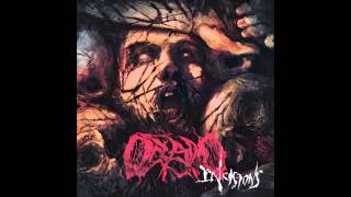 Oceano  New Age Apophis Official Audio [upl. by Burd316]