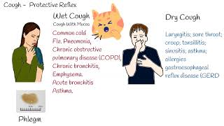 Types of cough dry and wet cough Common causes of different cough [upl. by Ennagroeg]