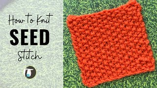 Seed Stitch Knitting for Beginners Easy StepbyStep Tutorial [upl. by Anavahs713]