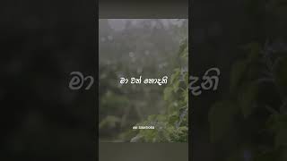 Wehilihiniyaneවැහිලිහිණියනේ  Roshan Fernando ❤️🎧 roshanfernando wehilihinidrama asicreations [upl. by Adnik]