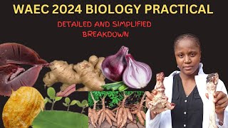 WAEC BIOLOGY PRACTICAL 2024 [upl. by Ecile]