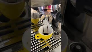 Breville Barista Touch Espresso Machine  Macchiato [upl. by Engamrahc]