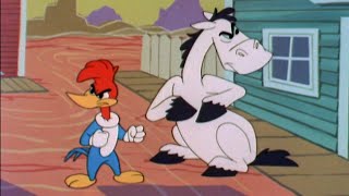 Woody Saves HIs Best Friend  25 Hours of Classic Episodes of Woody Woodpecker [upl. by Reld560]