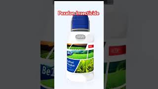 Pexalon Insecticide । धान की फसल में भूरा माहू के लिए डाला पेक्सलॉन।🌾😎 [upl. by Ymor]