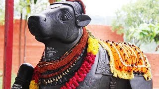 Sani Maha Pradosha Mantras – Shiva Navaratnamala Stotram– Chants to Remove Malefic Effects of Shani [upl. by Bremer856]