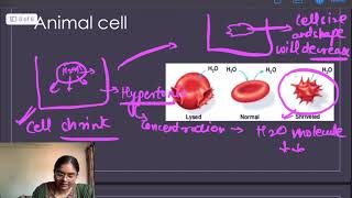 TonicityFundamental unit of lifePart 4Class 9th biology cbseboards2025 ncertscienceclass CTET [upl. by Eiveneg717]