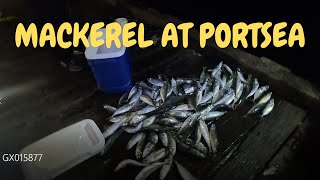 CATCHING MACKEREL IN PORTSEA VIC [upl. by Calhoun]