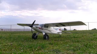 Eflite UMX Turbo Timber BNF Basic  Maiden Flight in 15 MPH Wind [upl. by Acebber]