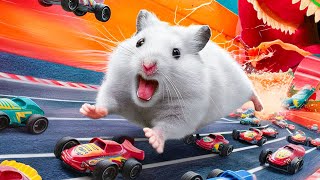 🛑 Hamster Maze with Colorful Traps 🐹 Best Compilation OF Mr Hamster 78 [upl. by Atirat584]