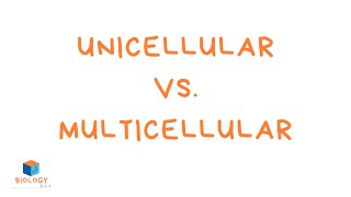 Unicellular vs Multicellular KS3 [upl. by Jeanine]