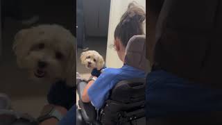 cerebralpalsyawareness giving my caregivers dog a ride on my chair part two [upl. by Trager]