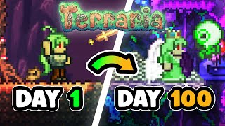 I Spent 100 Days In Terrarias ZENITH Seed [upl. by Primaveras407]