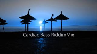 Cardiac Bass Riddim Mix 2012tracks in the description [upl. by Yatnuahs]