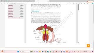 Digestive system of Frog Rana tigrina [upl. by Yalcrab840]