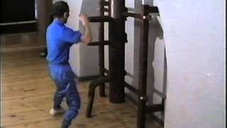 wooden dummy form whit Yip chun master [upl. by Namyaw]