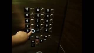 Kone MRL Elevators at Hyatt Regency Galleria Hotel [upl. by Prisilla]