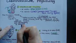 Cardiac Cycle  Cardiovascular Physiology [upl. by Draneb]