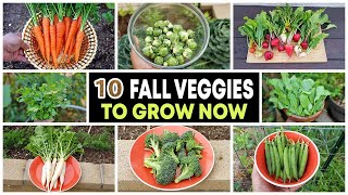 Top 10 Vegetables to grow in Fall amp through Winter [upl. by Anerbes]