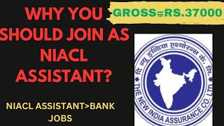 NIACL assistant job profile Better than SBI CLERK [upl. by Zeuqirdor]