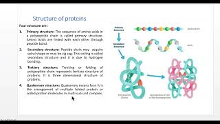 PROTEINS SEQUENCE I SECONDARY STRUCTURE PREDICTION I ALPHA HELIX BETA PLATTED I LOCAL ALIGNMENT [upl. by Pacificas66]