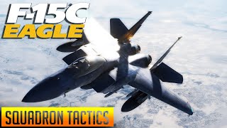 DCS 3v3 F15 Eagle v Su27 Flanker Squadron Tactics PvP [upl. by Saberio]