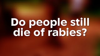 Do People Still Die of Rabies [upl. by Attolrac]