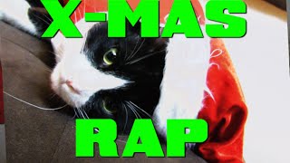 The Ugly Christmas Sweater Cat Rap [upl. by Ayekat859]