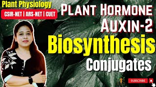 Plant Hormone Auxin Part 2  Biosynthesis of Auxin  Conjugates  Phytohormones  CSIRNET [upl. by Salomon]