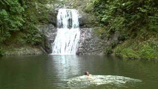 Rainbow Waterfall Goldsborough TOBAGO [upl. by Yelda]