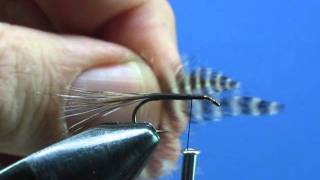 Beginner Fly Tying Tips  Part Eleven The Adamswmv [upl. by Sivatnod69]