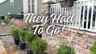 Front Flowerbed Makeover Replacing Sick Hydrangeas with Beautiful Boxwoods  Part 1 ✨ [upl. by Galvin]