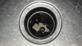 Troubleshooting Garbage Disposals [upl. by Kirsch]