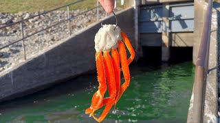 Catching a Spillway MONSTER in the Most EPIC Way Possible [upl. by Anifares]