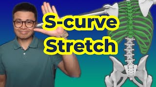 Treating SCurve Scoliosis The Best Stretching Exercise in 2024 [upl. by Nai]