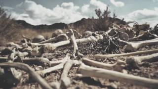 Dry Bones Song by Lauren Daigle amp Video by Dan DiFelice [upl. by Josepha908]