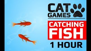 CAT GAMES  🐟 CATCHING FISH 1 HOUR VERSION VIDEOS FOR CATS TO WATCH [upl. by Canute330]