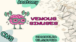 VENOUS SINUSES [upl. by Atikir]