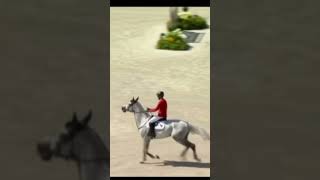 Deutschland der im Springreiten showjumping 2024olympics germanyforthewin germany ￼ [upl. by Anaitsirk407]