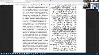 Chevrah Torah  4222 [upl. by Farlee]