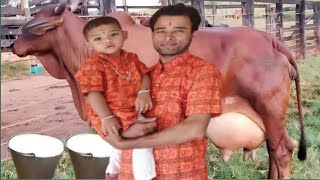 Self Cow Milking by Hand  Villege  with Anirudhbacha 😱😱 Menuka Poudel [upl. by Deedee838]