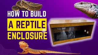 HOW TO BUILD A DIY SNAKE OR LIZARD ENCLOSURE Step by step [upl. by Elletnohs]