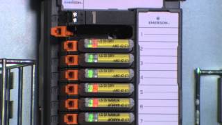 DeltaV SIS Electronic Marshalling [upl. by Carnes172]