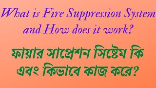 What is Fire Suppression System FM200 Fire Suppression System SimulationHow Fire Suppression work [upl. by Ecire]