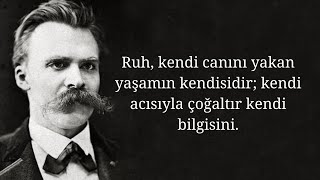 Ayaktakımı üzerine  Friedrich Nietzsche [upl. by Hsirt]