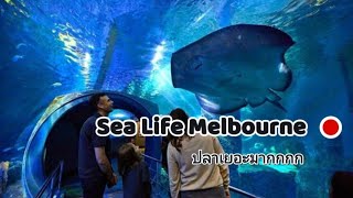 อควาเรียมใจกลางเมืองเมลเบิร์นที่มีปลาและห้องจัดแสดง เพนกวิน แสนน่ารัก SEA LIFE Melbourne Aquarium [upl. by Dnomyad733]