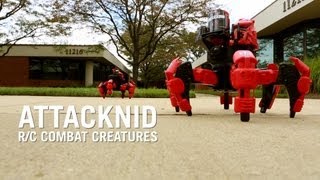 Doom Razor Attacknid RC Combat Creatures from ThinkGeek [upl. by Sima]