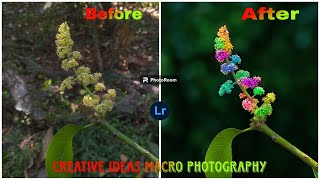 MACRO PHOTOGRAPHY CREATIVE IDEASlightroom lensdistortions [upl. by Nevile]